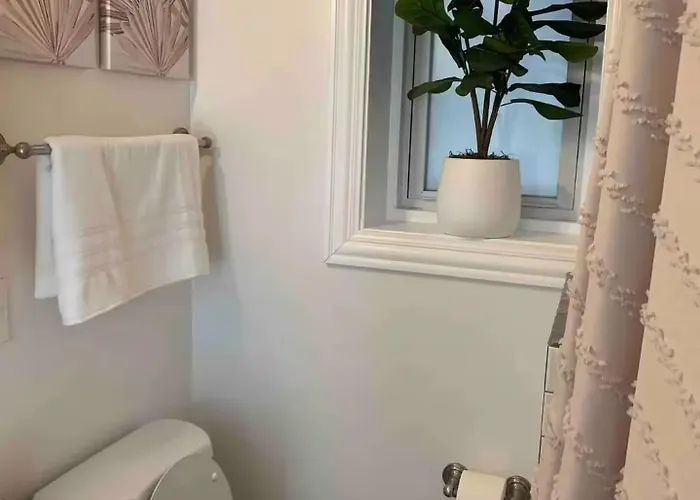 Tropical Boho Oasis Chicago